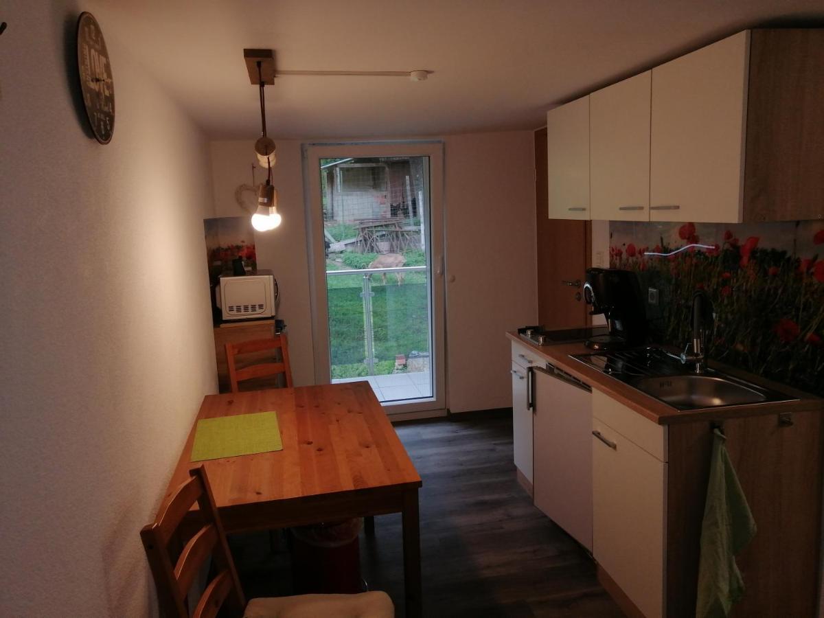 Kleine Wohnung Wutoschingen Exterior foto